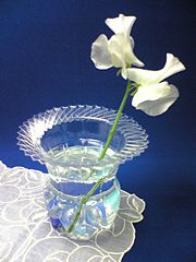 Cara Membuat Vas Bunga Dari Botol Plastik Bekas All About Art